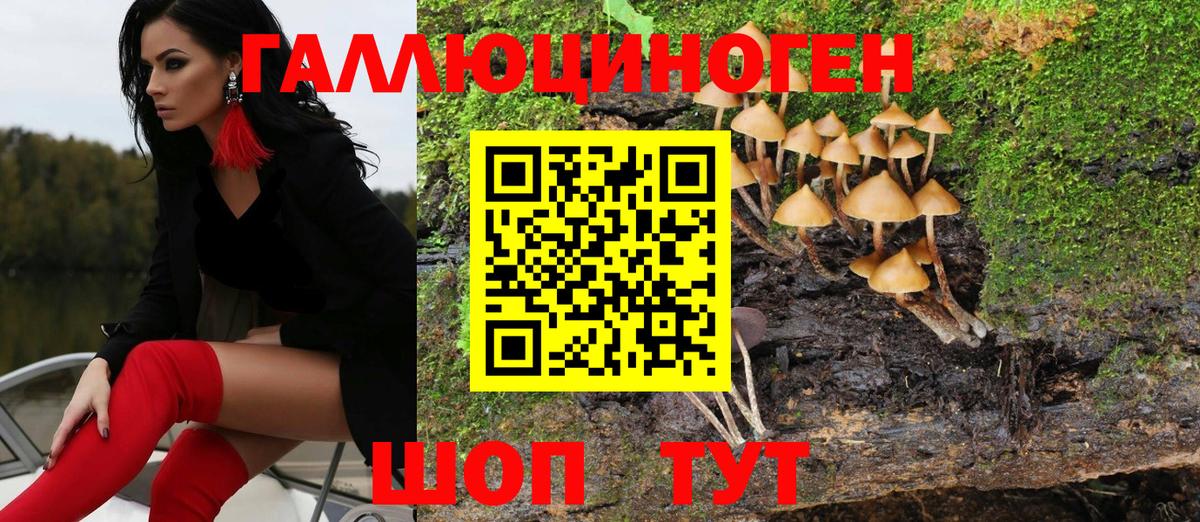 Псилоцибиновые грибы Magic Shrooms  Вход с VPN  купить наркотик  Псилоцибиновые грибы GOLDEN TEACHER  Коркино 